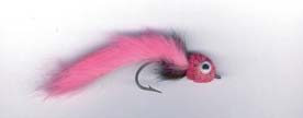 Brochet 
